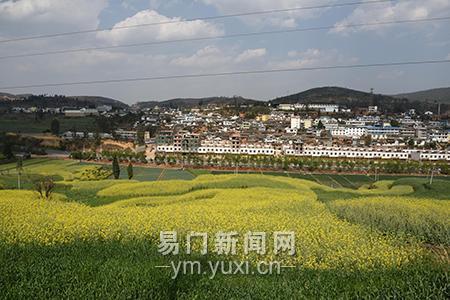 浦贝乡集镇远景1