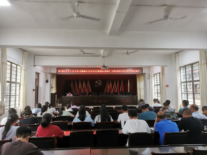 图片7