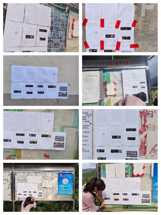 图片11